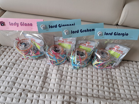 Cadeautje voor de pups van Bennie adoptie ouder van Oom Max (Lord Giorgo = Lady Grazia geworden)